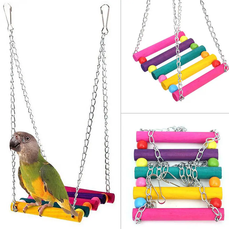 Columpio para loros 2