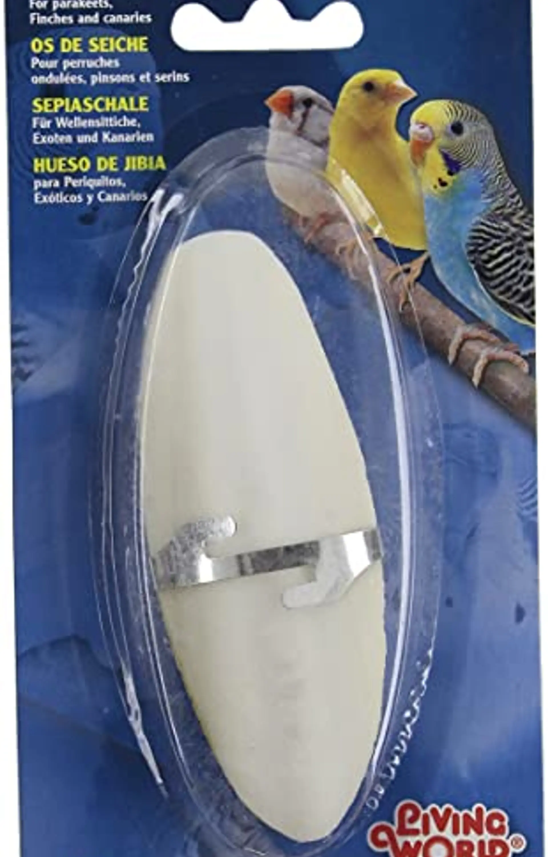 Hueso de Jibia  1