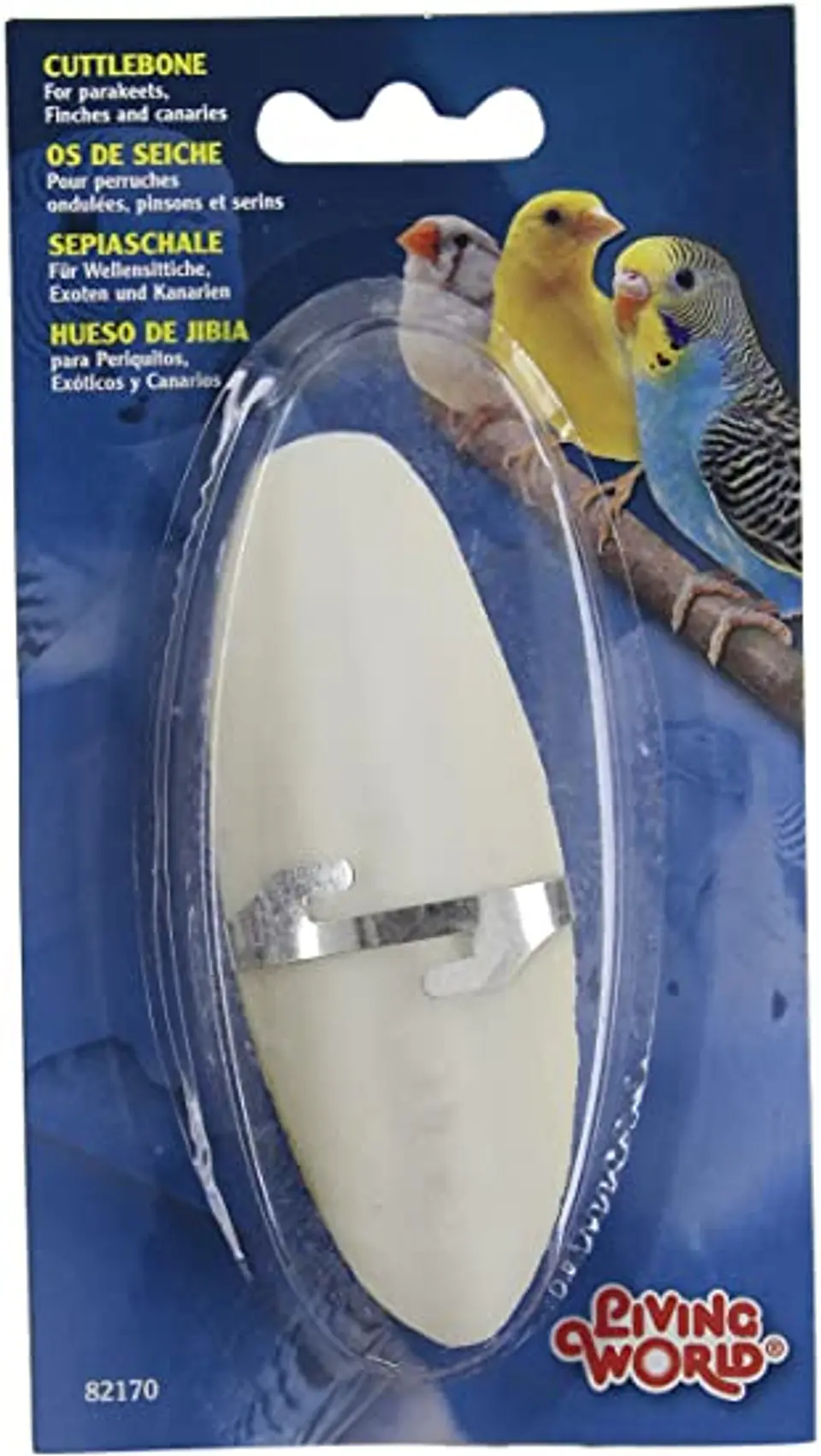 Hueso de Jibia  1