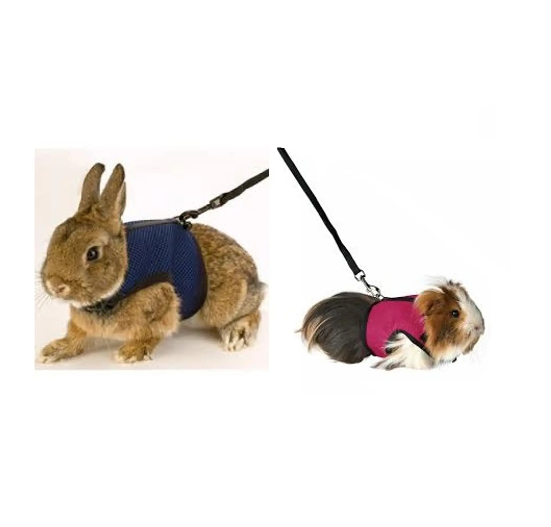 Arnes pequeñas mascotas medium 2