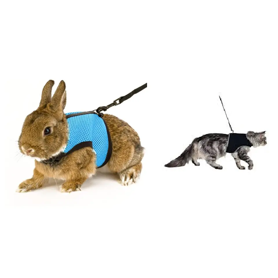 Arnes pequeñas mascotas medium 3