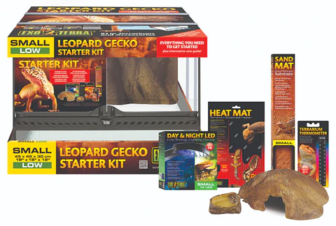 Kit Exo Terra Gecko Leopardo