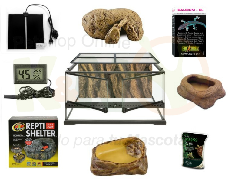 Kit completo Gecko Leopardo