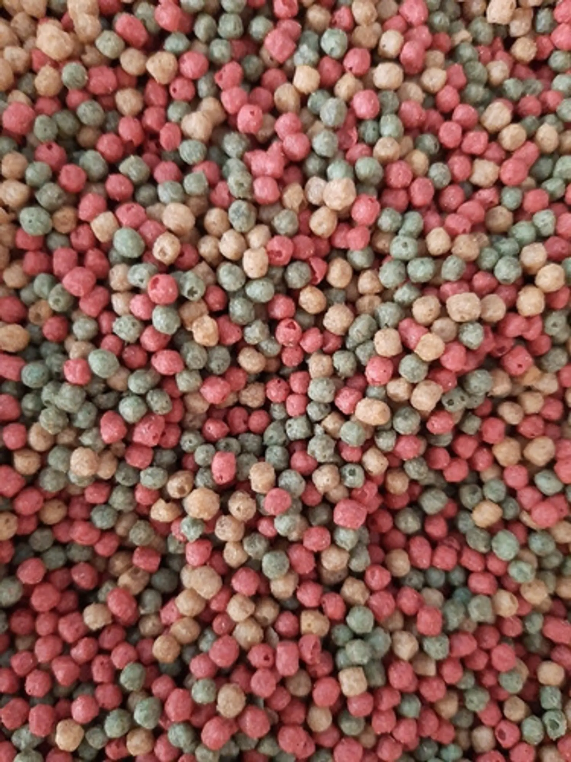 Pellet Alimento Comida Koi Carassius Carpas Tortugas 1