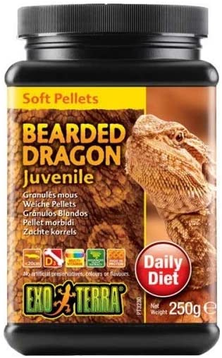 Alimento Dragon Barbudo Exo Terra