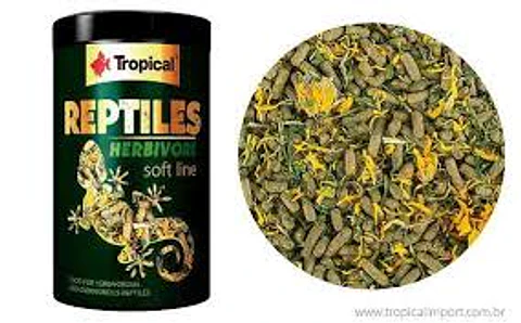 Alimento Reptiles Herbívoros Tropical