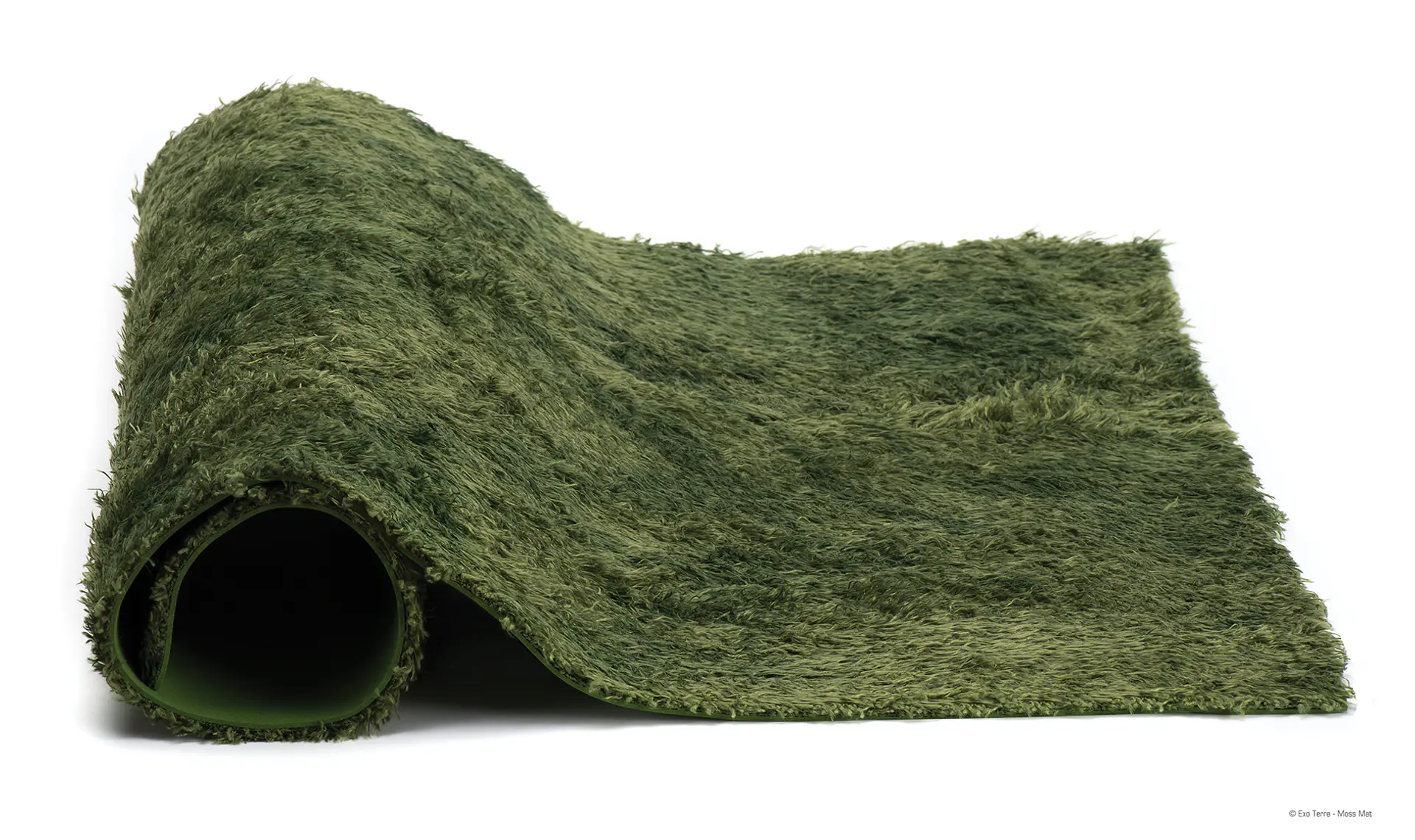 Alfombra Musgo Exo terra medium 2