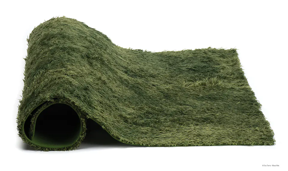Alfombra Musgo Exo terra medium 2