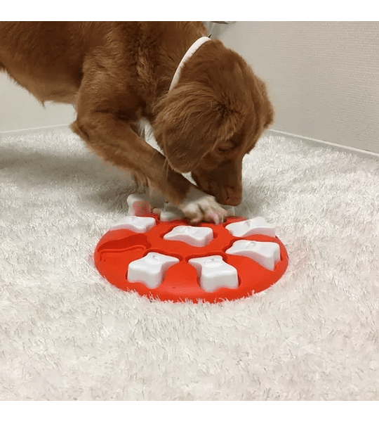 Nina Ottosson Puzzle Treat Tumble N1 Dispensador Juguete Interactivo Para  Perro