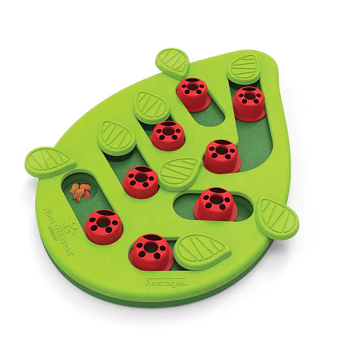 Nina Ottsson puzzle buggin out N2