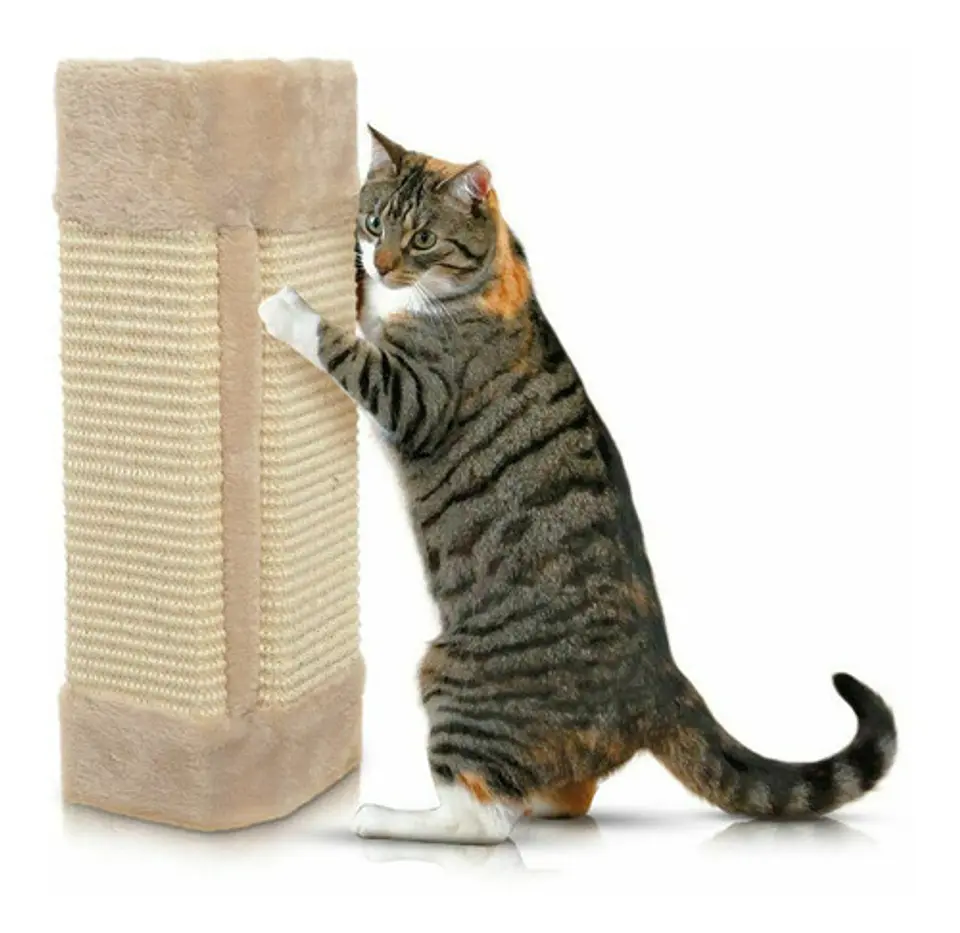 Rascador de esquina para gatos 10