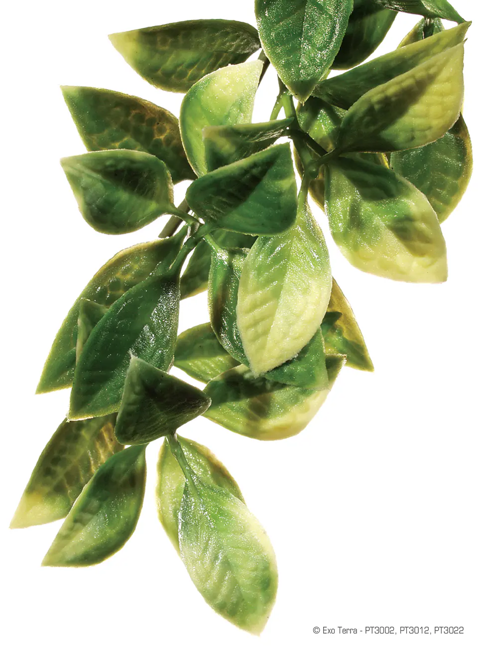 Planta colgante Mandarin Exo Terra Large 1