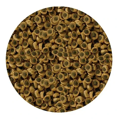 Alimento Reptil HERBIVOR