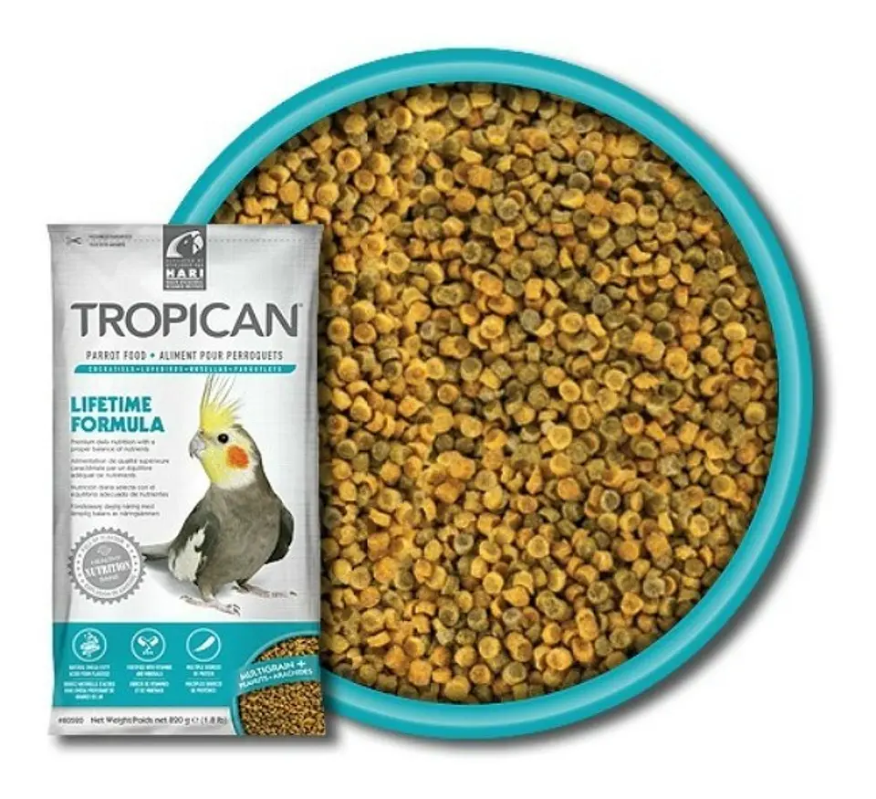 Tropican mantencion Ninfas 2