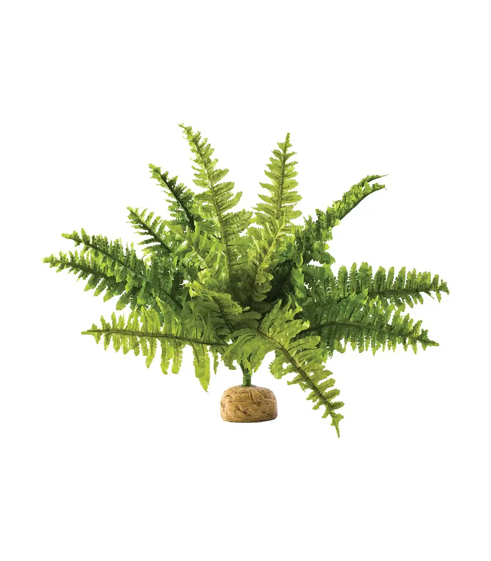 Planta Tropical Exo Terra Helecho 1