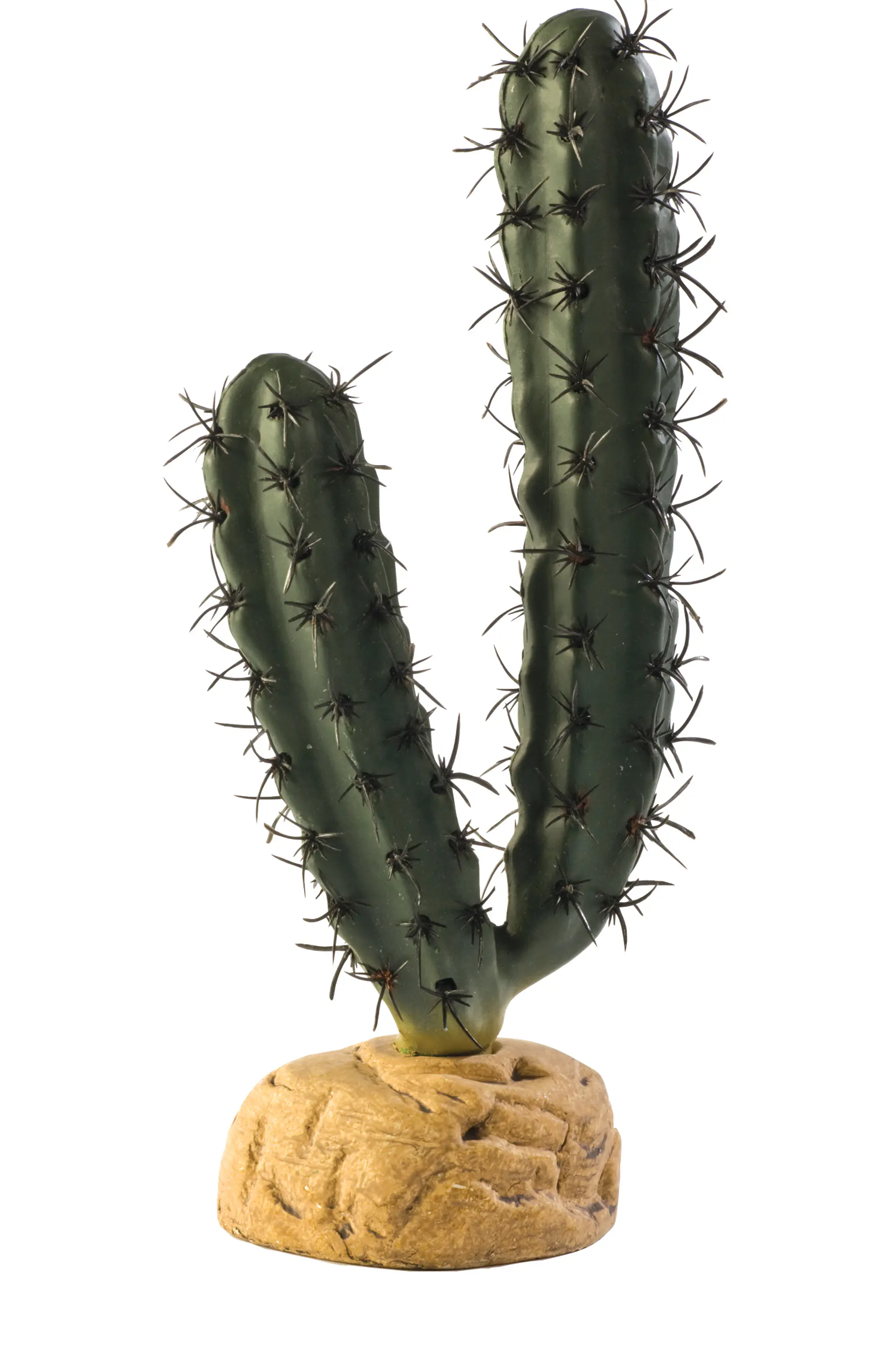 Cactus Exo Terra candelabro 1