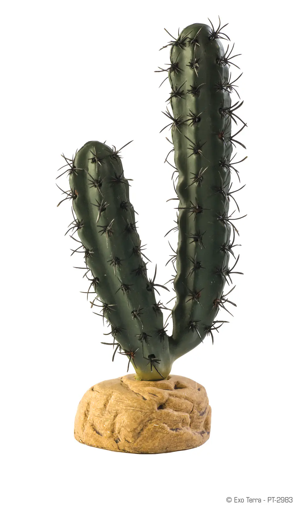 Cactus Exo Terra candelabro 1