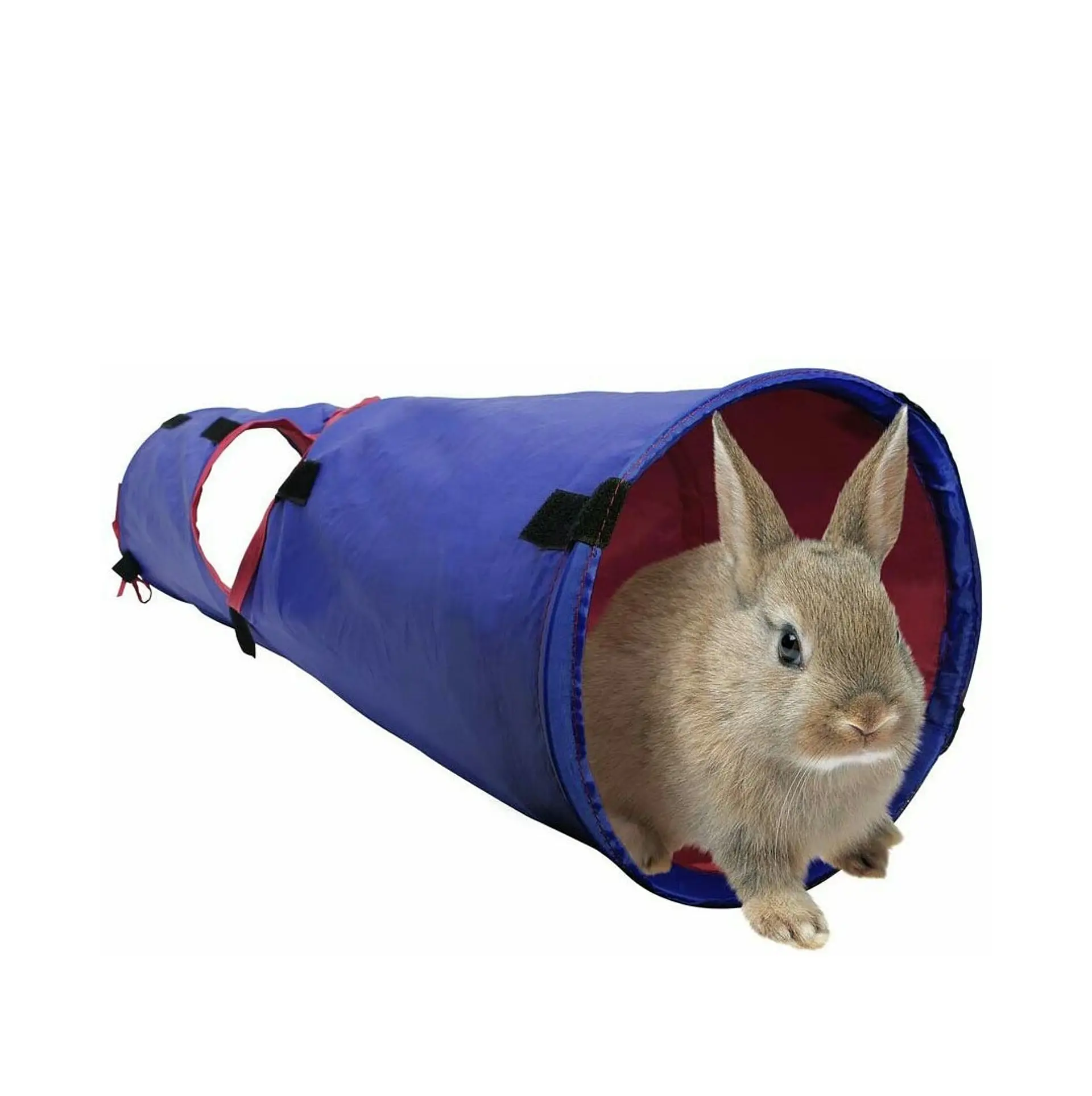 Tunel pequeñas mascotas Plegable 1