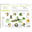 Circuito Wave senses 2.0 Catit