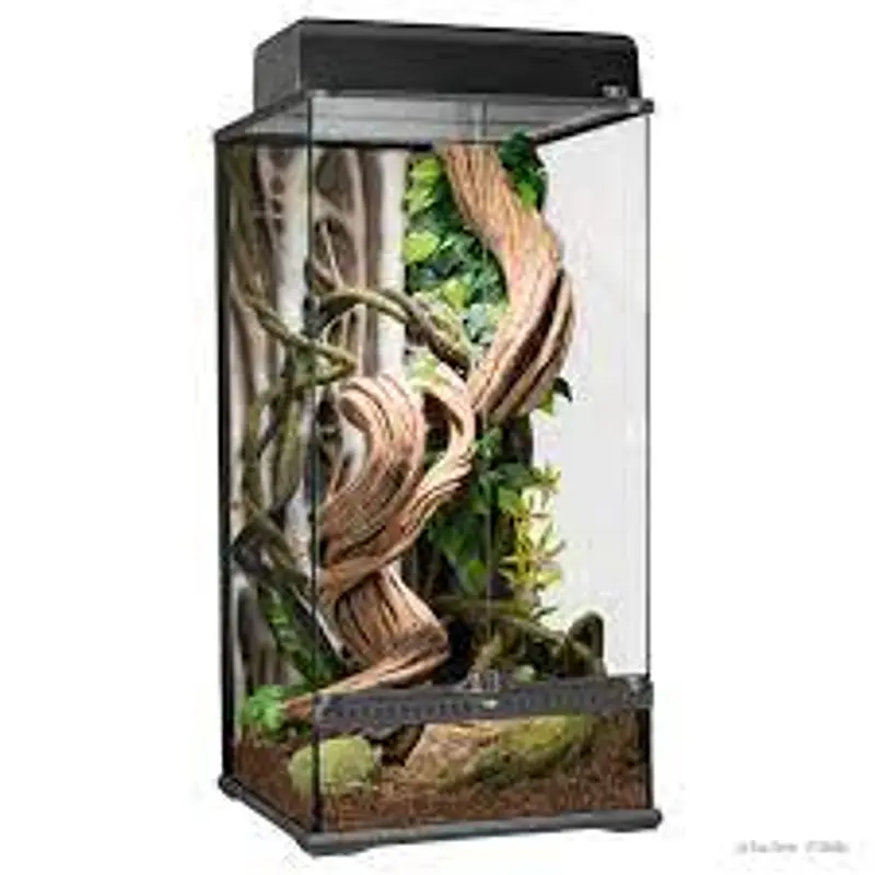 Terrario vertical Exo Terra recomendado para camaleón velado
