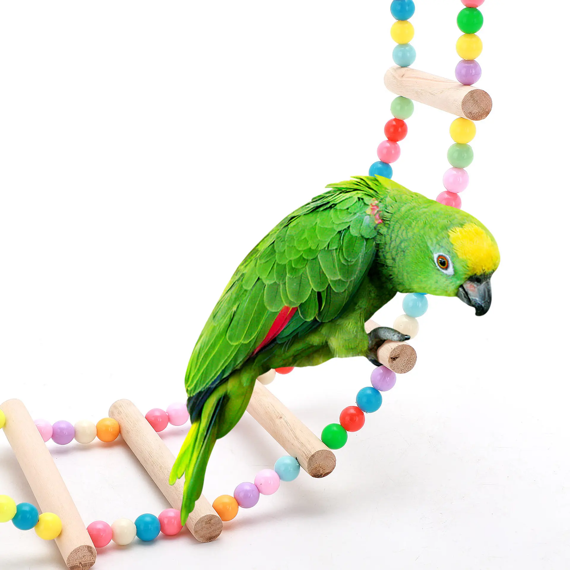 Escalera para aves juego 2