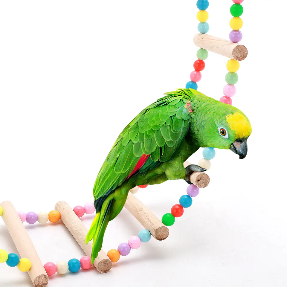 Escalera para aves juego 2