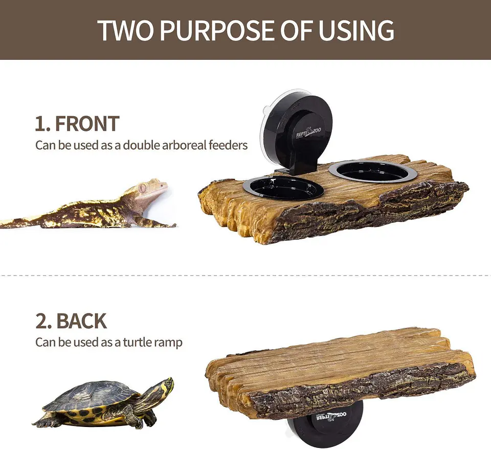2 en 1 plataforma para tortugas o repisa para alimentar 4
