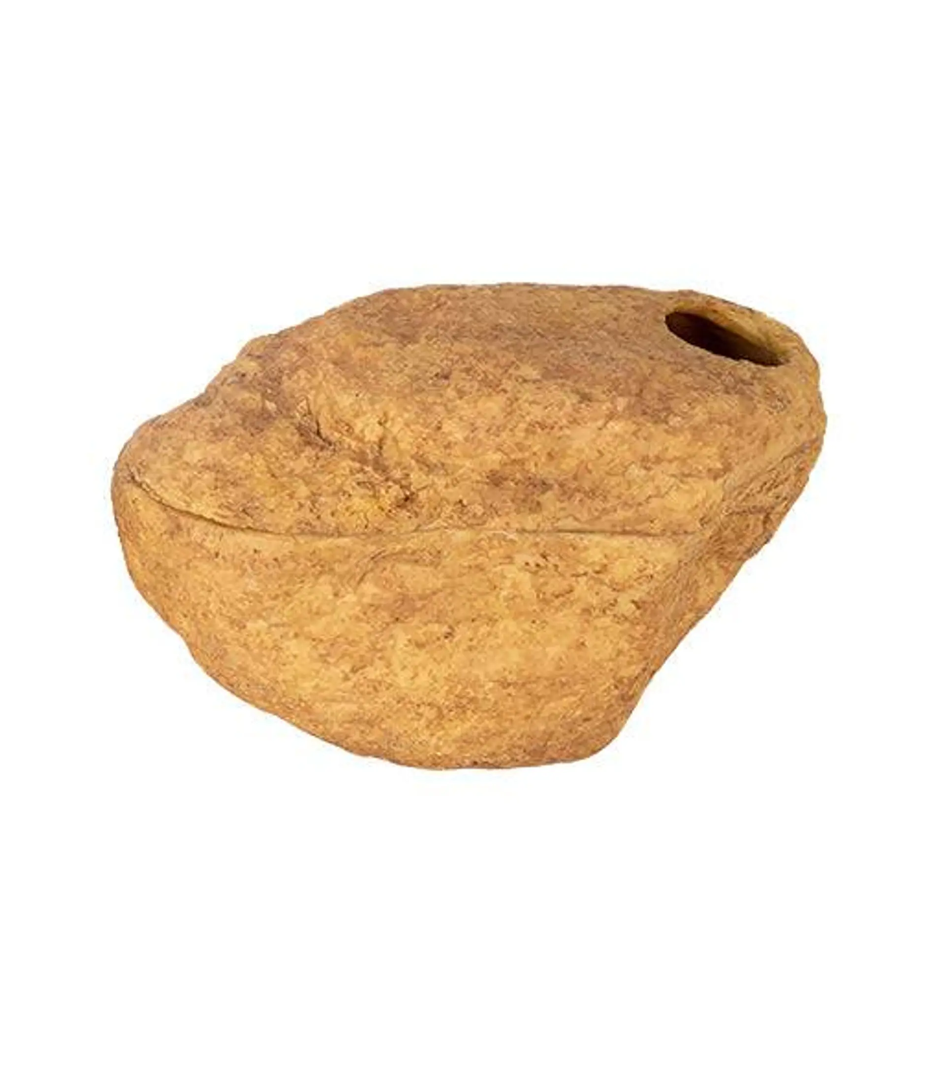 Cueva Humeda para reptiles Extra Large 1