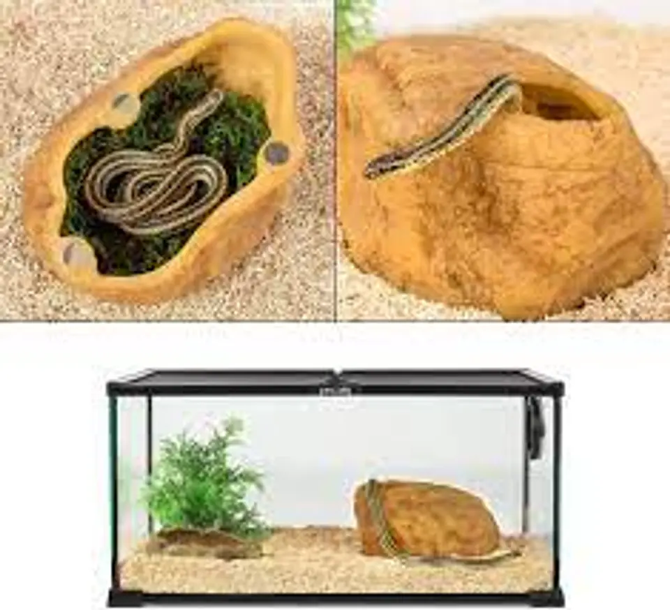 Cueva Humeda para reptiles Extra Large 4