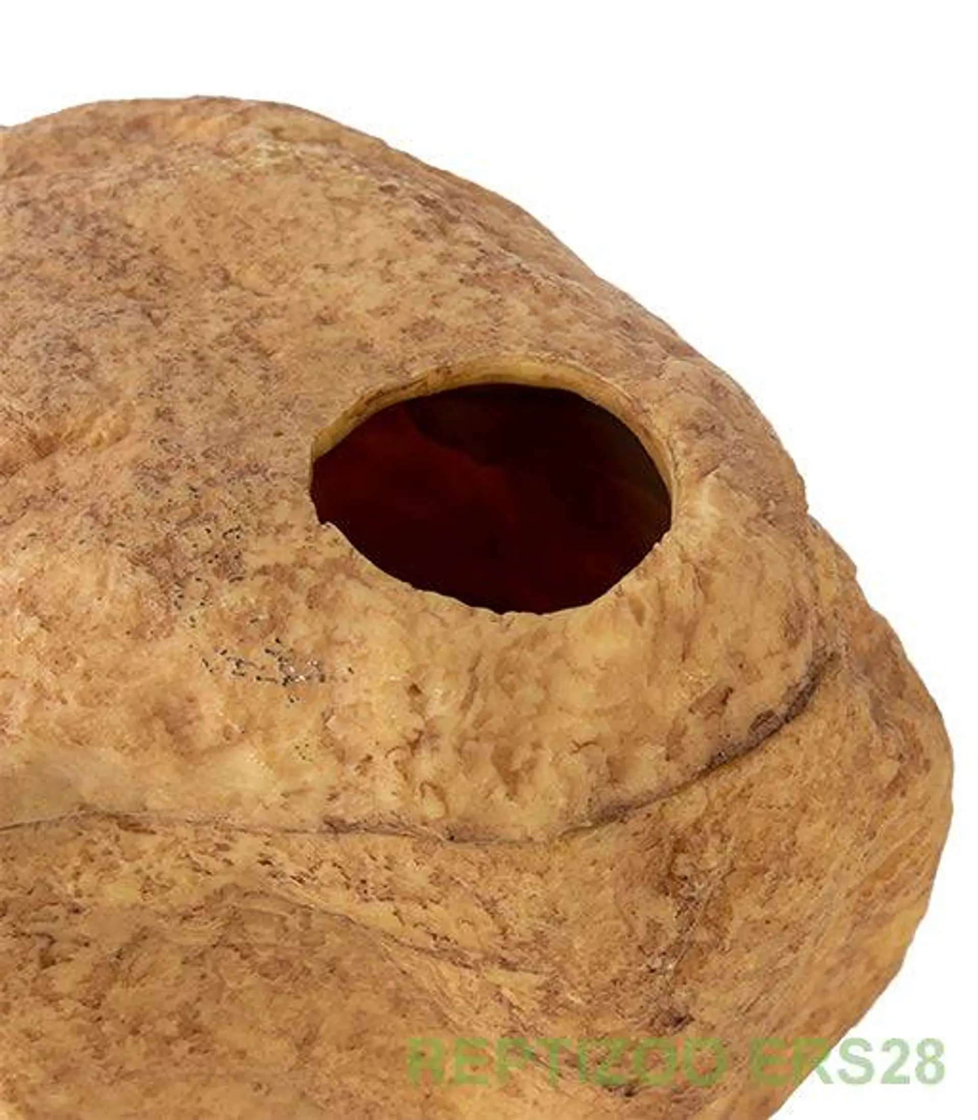 Cueva Humeda para reptiles Extra Large 6