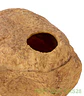 Cueva Humeda para reptiles Extra Large - Miniatura 6