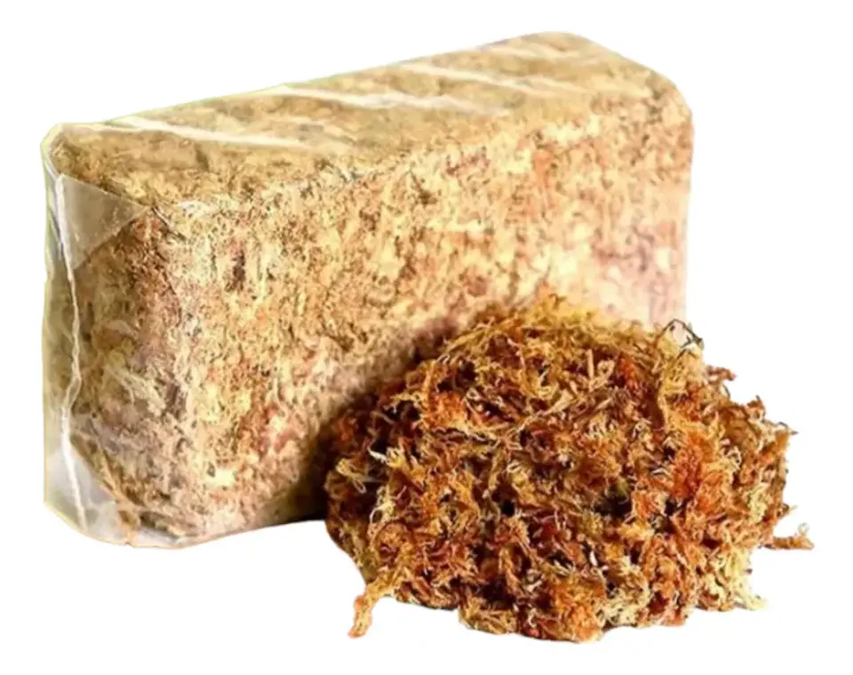 Musgo Sphagnum 1 Kilo 1