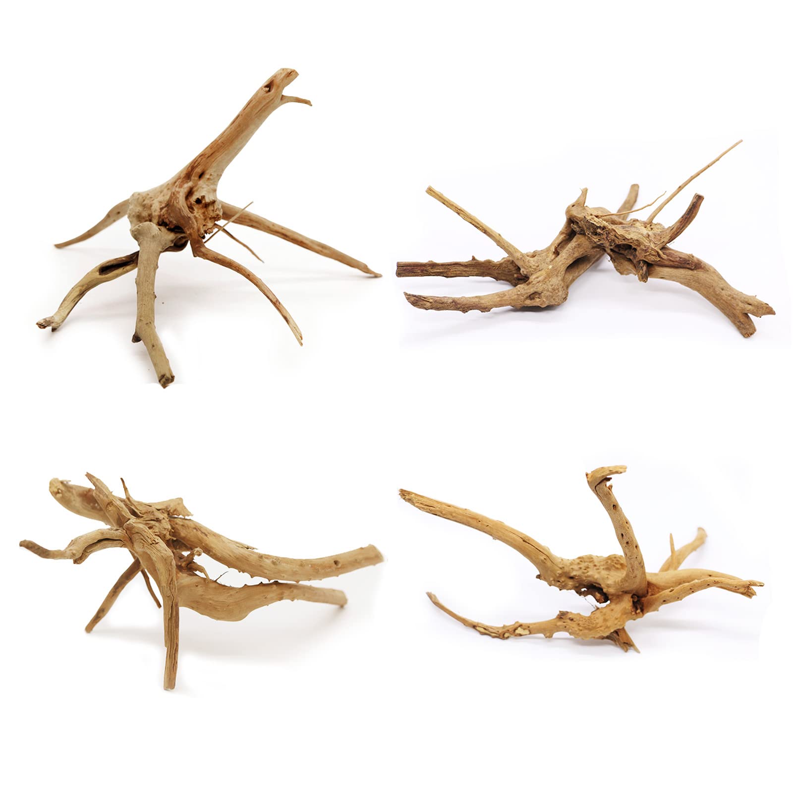 Raices de Azalea 10-15 cm granel 200 gramos