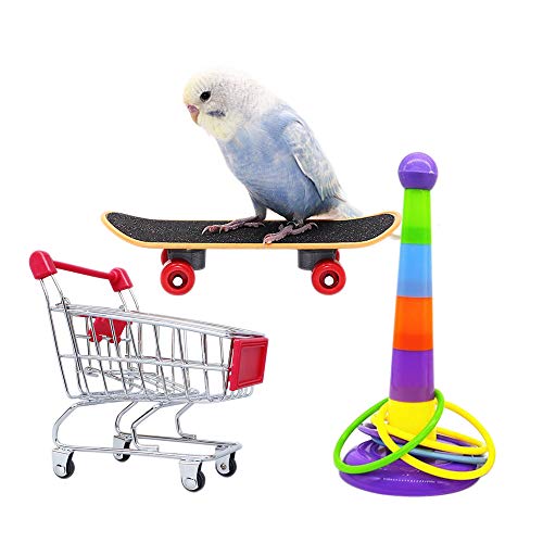 Set juegos para Loros 3 piezas