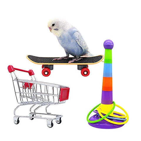 Set juegos para Loros 3 piezas