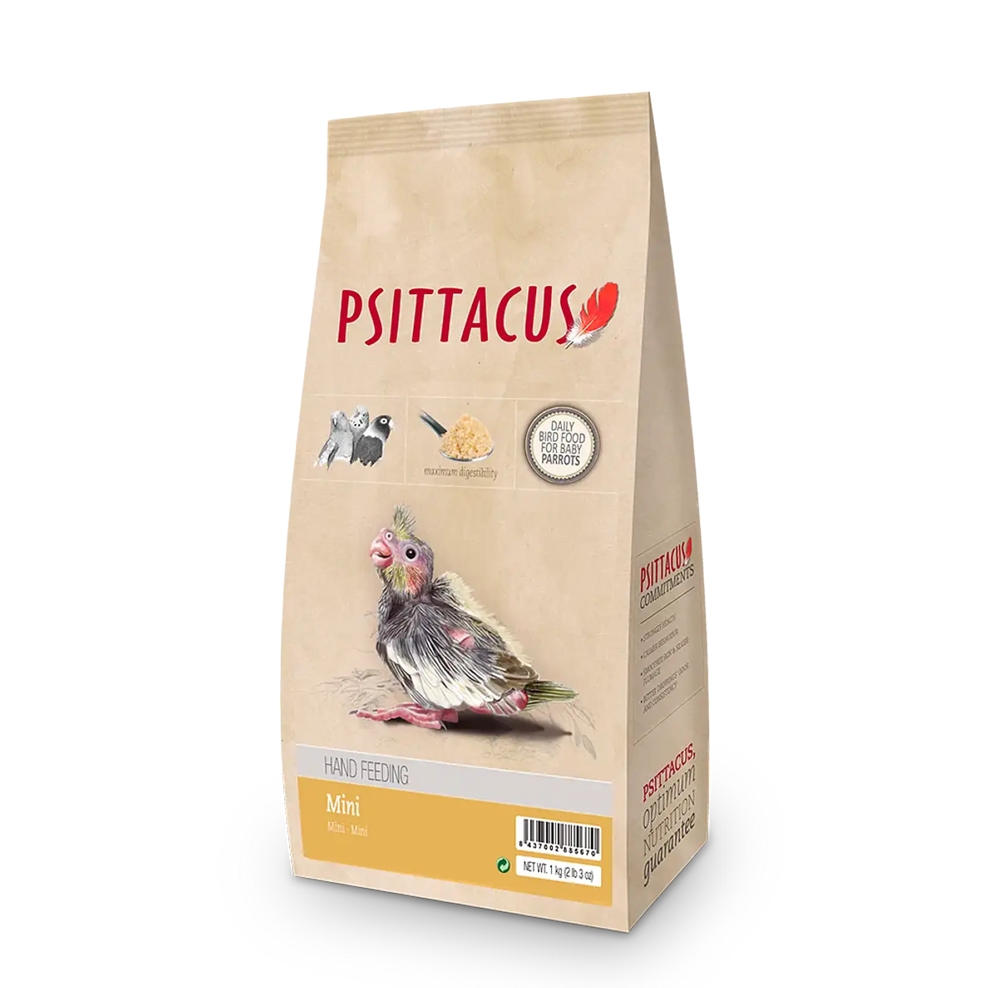 Papilla Psittacus mini 1