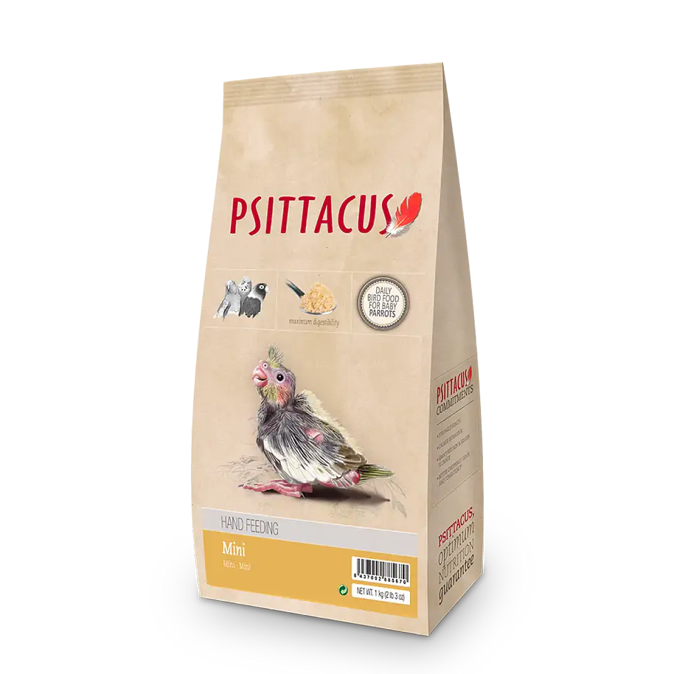 Papilla Psittacus mini 1