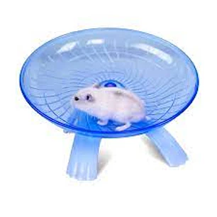 Platillo para correr hamster 18 cm de diametro