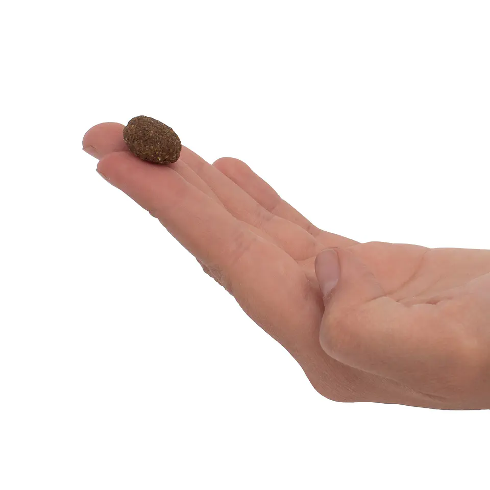PlaqueOff Bites Perro 5