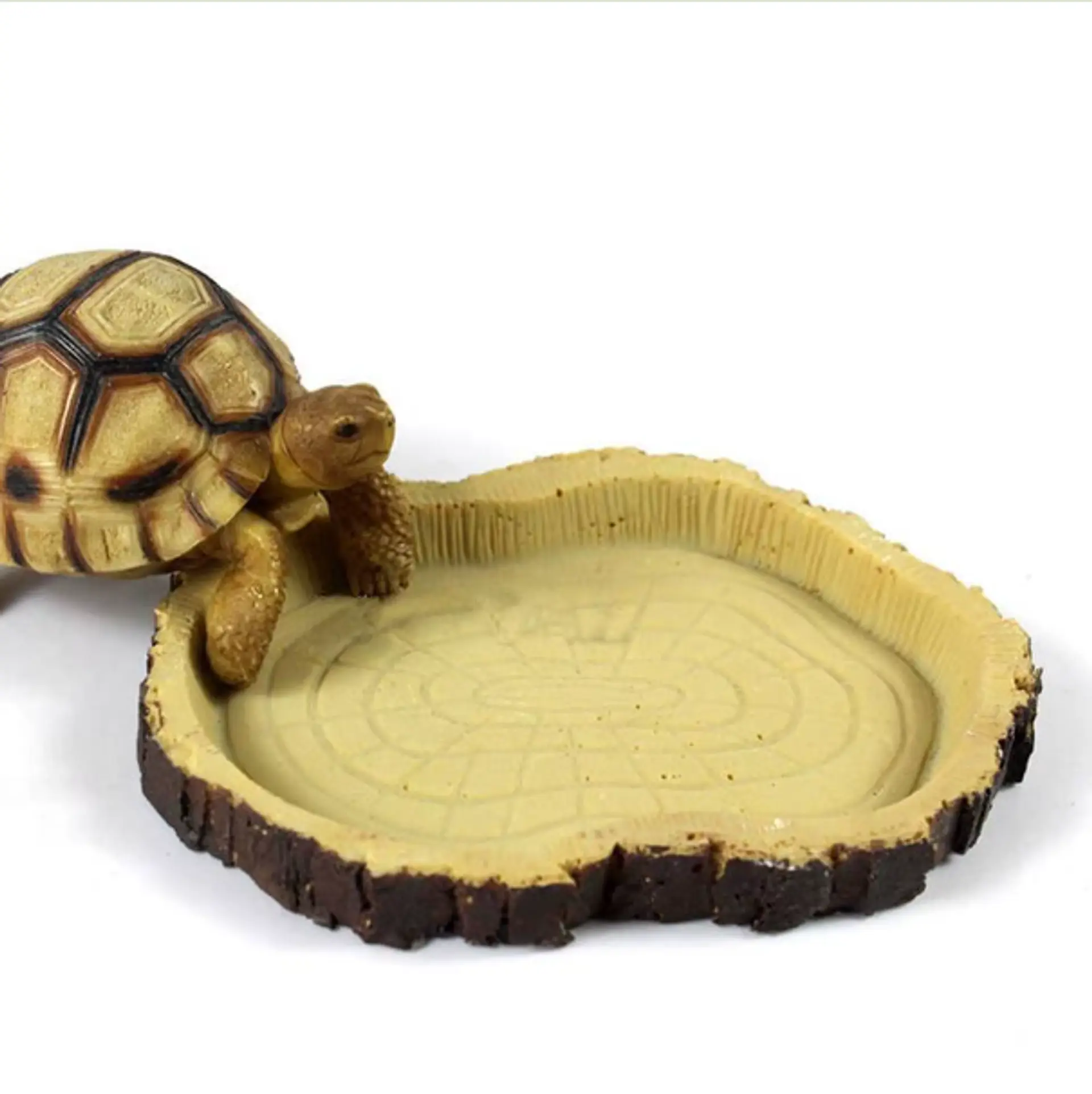 Plato para reptiles 16x10x2cm diseño tronco 2