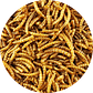 Tenebrios deshidratados - Miniatura 1