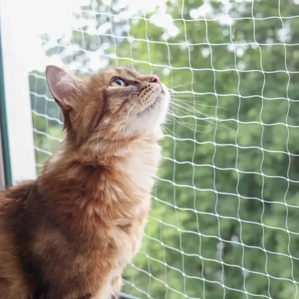 Wonder Cat Malla de Seguridad para Gatos 2