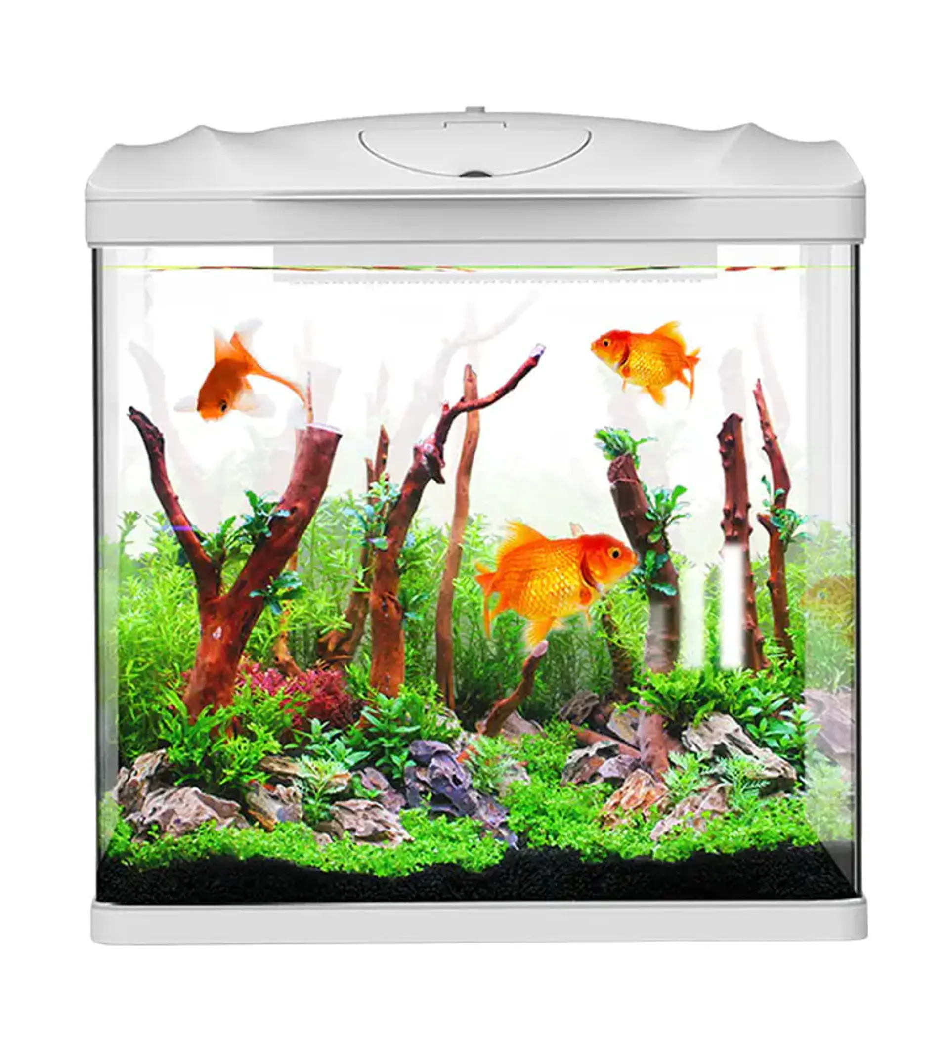 Acuario completo 72 litros Sunsun Negro 3
