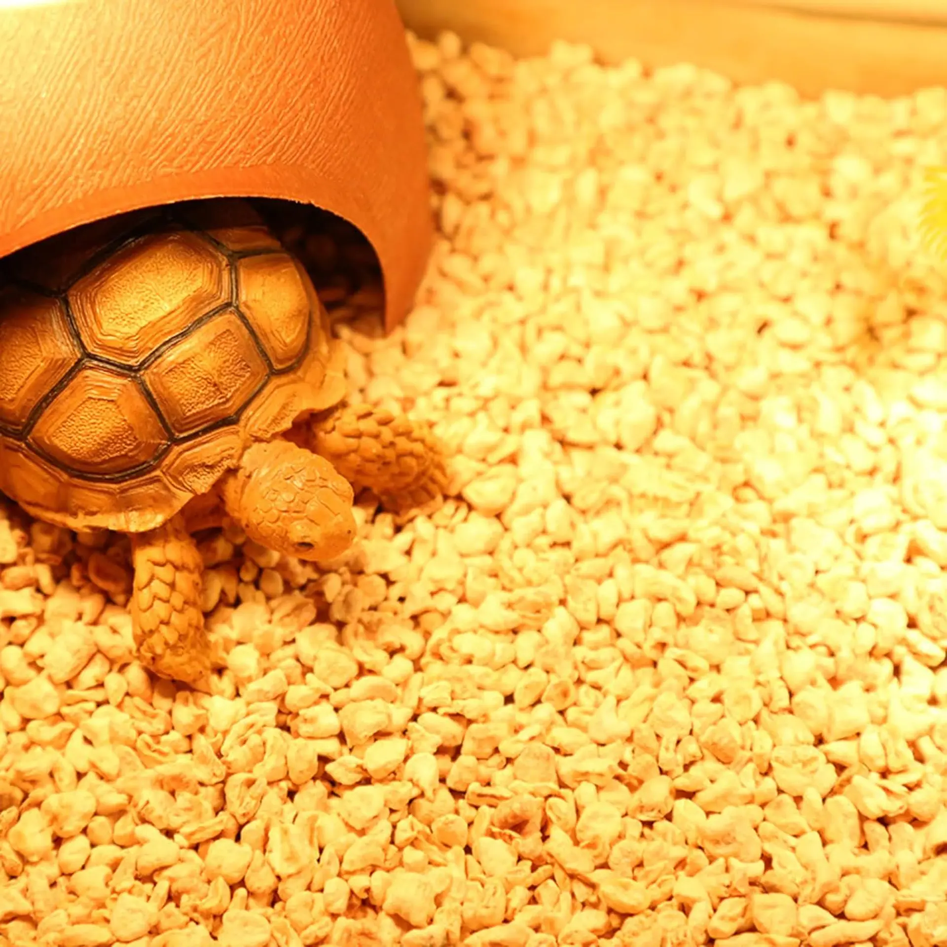 Sustrato orgánico para reptiles mazorca granulada 4