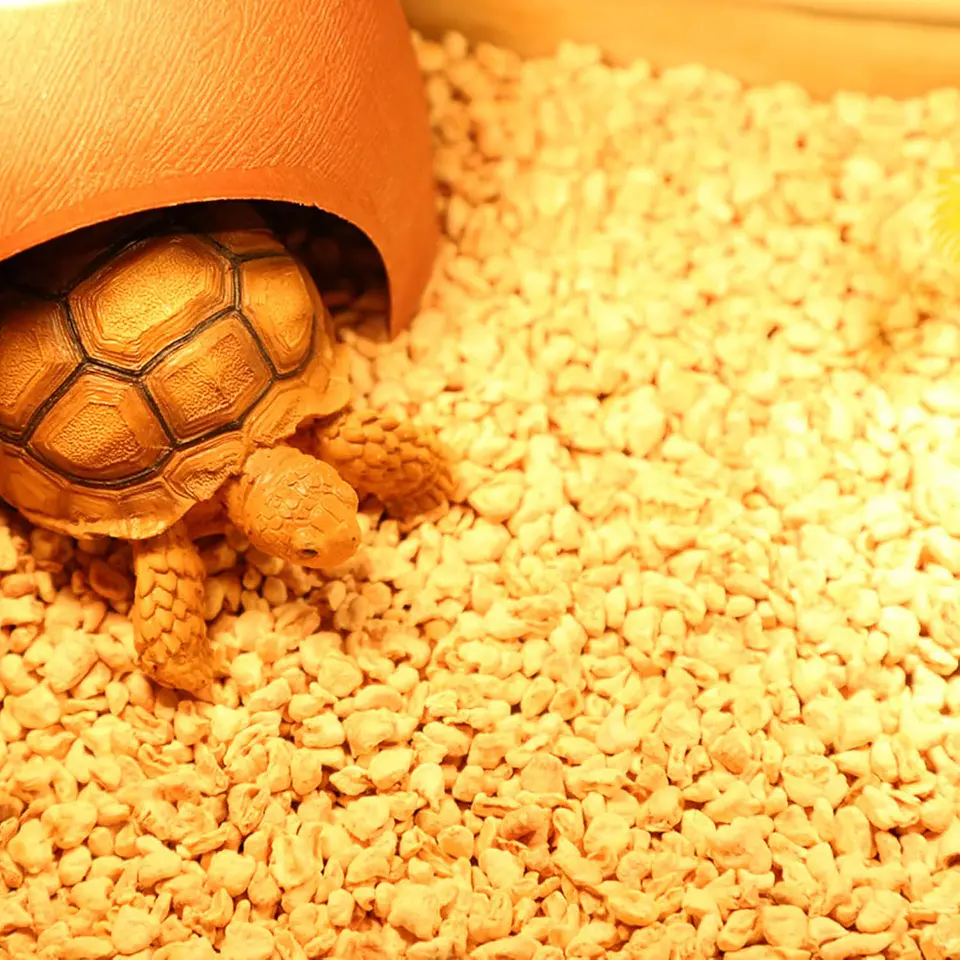 Sustrato orgánico para reptiles mazorca granulada 4