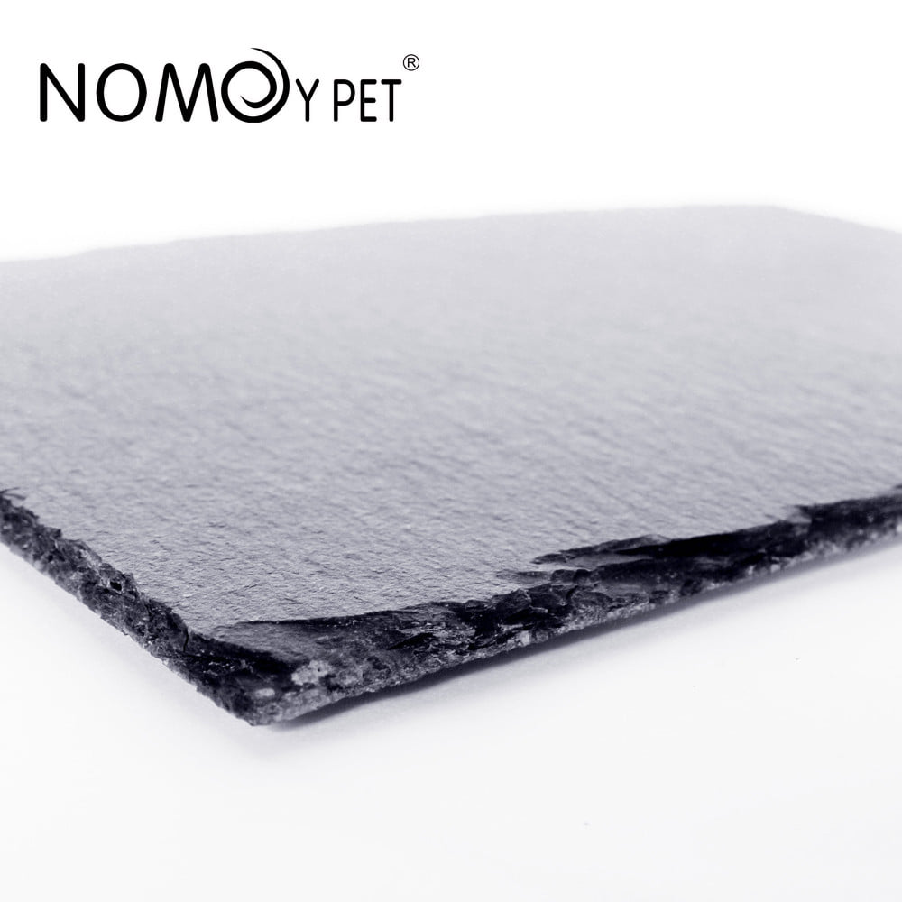 Plato pizarra natural roca ideal tortugas plano