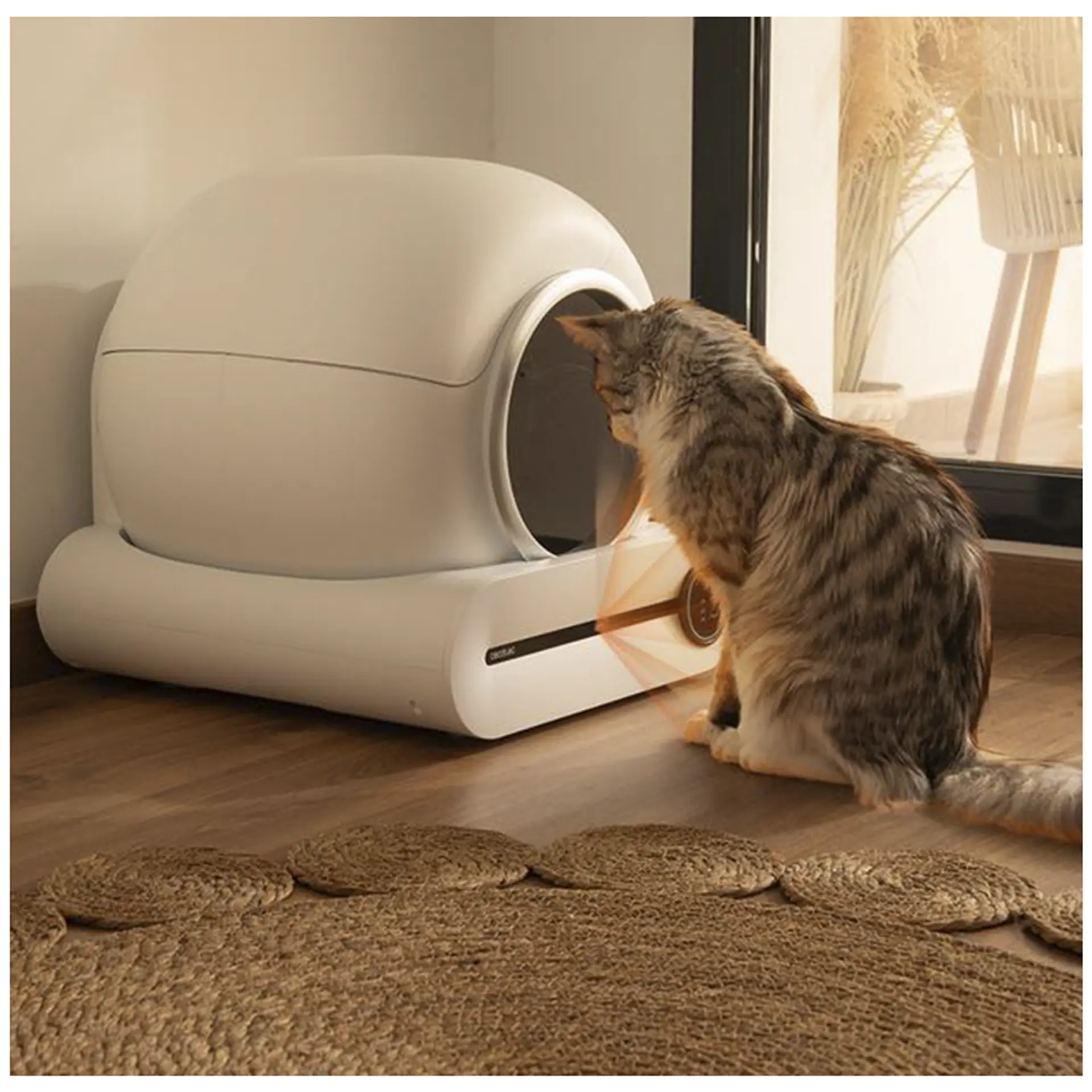 Arenero gato Smart con aplicación 6