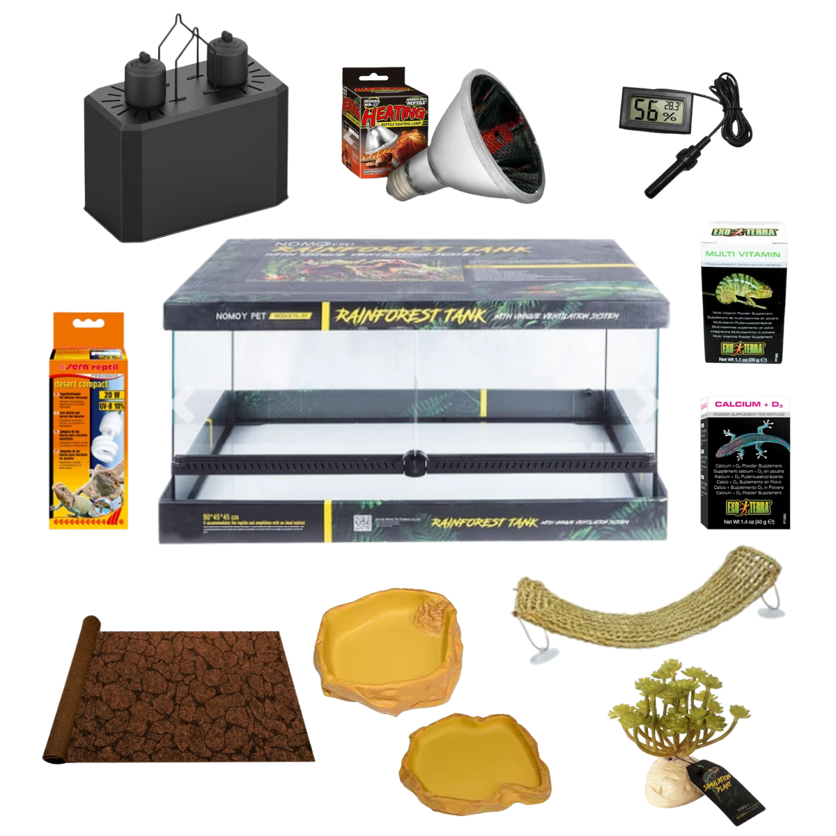 Kit completo Dragon Barbudo Élite