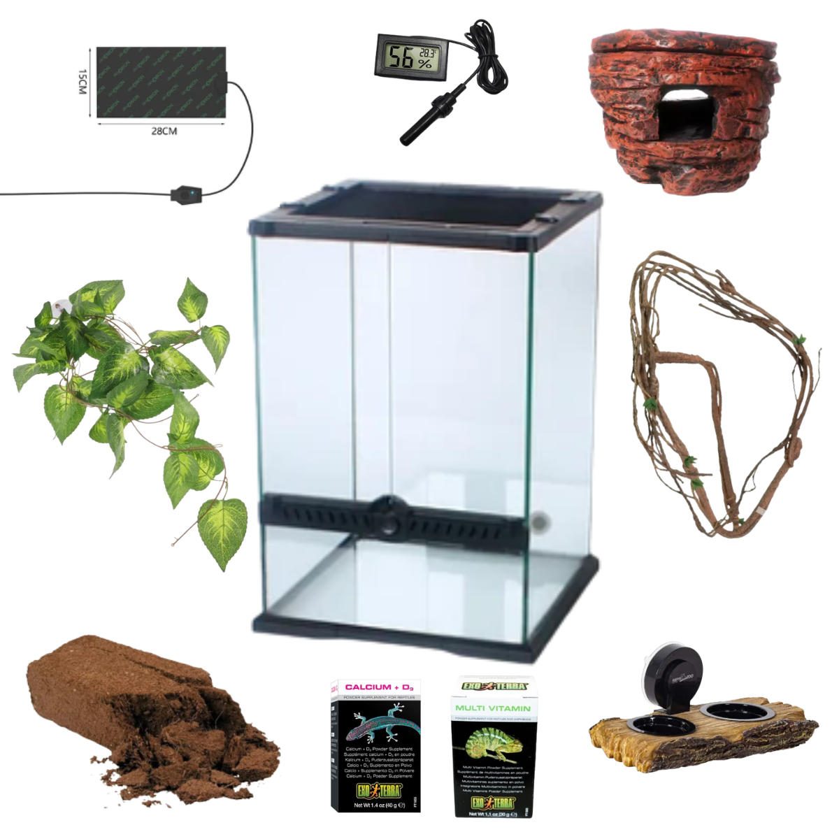 Kit completo Gecko arboricola