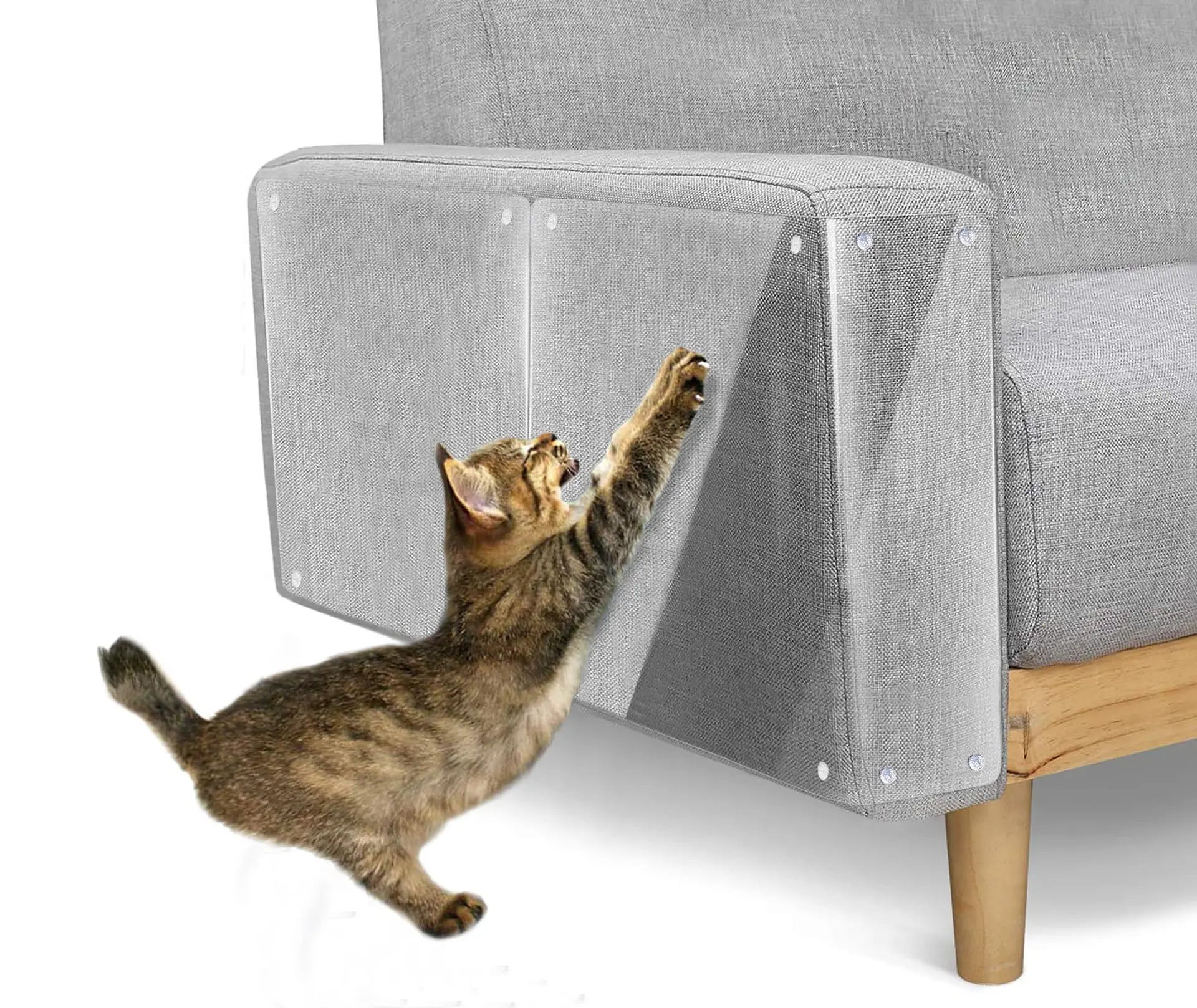 Pack 5 Protector de Muebles Gatos 30*45 cm 1
